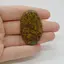 Cabochon Jasp Fruity 44x27x6mm C65