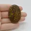 Cabochon Jasp Fruity 49x33x5mm C53