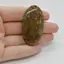 Cabochon Jasp Fruity 50x27x6mm C3