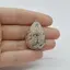 Cabochon Jasp Leopard 2 34x22x8mm C75