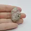 Cabochon Jasp Leopard 2 39x24x7mm C60