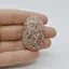 Cabochon Jasp Leopard 2 41x26x7mm C62