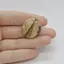 Cabochon Jasp Peisaj 27x23x7mm C37