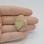 Cabochon Jasp Peisaj 30x22x7mm C45