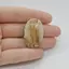 Cabochon Jasp Peisaj 34x22x6mm C74