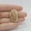 Cabochon Jasp Peisaj 34x24x6mm C35