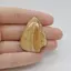 Cabochon Jasp Peisaj 38x28x5mm C72