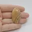 Cabochon Jasp Peisaj 39x22x5mm C71