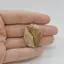 Cabochon Jasp Peisaj 31x23x6mm C126