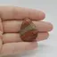 Cabochon Jasp Policrom 33x25x6mm C94
