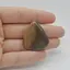 Cabochon Jasp Policrom 33x29x5mm C74