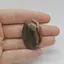 Cabochon Jasp Policrom 36x25x5mm C82