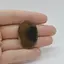 Cabochon Jasp Policrom 38x24x4mm C19