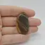Cabochon Jasp Policrom 39x22x5mm C79