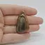 Cabochon Jasp Policrom 40x23x7mm C21