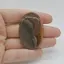 Cabochon Jasp Policrom 46x31x6mm C30