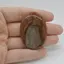 Cabochon Jasp Policrom 47x33x6mm C8