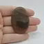 Cabochon Jasp Policrom 49x32x6mm C14