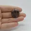 Cabochon Kiastolit 25x23x6mm C55