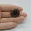 Cabochon Kiastolit 25x25x6mm C23