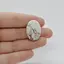 Cabochon Magnezit 26x18x4mm C66