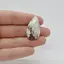 Cabochon Magnezit 31x18x5mm C84