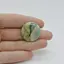 Cabochon Mariposit  26x26x5mm C19