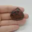 Cabochon Obsidian Mahon 34x32x7mm C72