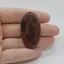 Cabochon Obsidian Mahon 44x24x5mm C23