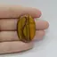 Cabochon Ochi de tigru 37x25x5mm C44