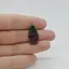 Cabochon Rubin in zoisit 24x12x5mm C26