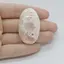 Cabochon Scolecit 40x22x5mm C2