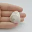 Cabochon Scolecit A+ 32x29x6mm C53