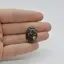 Cabochon Agat Turitela 22x16x5mm C44