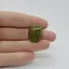 Cabochon Turcoaz Tibetan 21x18x6mm C30