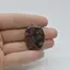 Cabochon Que Sera 30x23x6mm C41