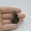 Cabochon Que Sera 40x25x6mm C15