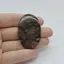 Cabochon Que Sera 45x29x5mm C5