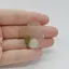 Cabochon Agat Moss Indonezia 33x24x5mm C36
