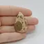 Cabochon Jasp Leopard 37x24x6mm C19