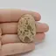 Cabochon Jasp Leopard 40x26x6mm C60