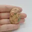 Cabochon Jasp Leopard 40x28x7mm C62