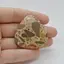 Cabochon Jasp Leopard 41x40x5mm C56