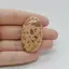 Cabochon Jasp Leopard 42x25x6mm C30