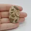 Cabochon Jasp Leopard 44x28x6mm C9