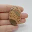 Cabochon Jasp Leopard 46x30x6mm C53