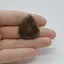 Cabochon Stromatolit 31x26x6mm C20