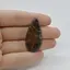 Cabochon Stromatolit 39x19x5mm C29