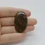 Cabochon Stromatolit 39x25x5mm C36