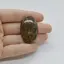 Cabochon Stromatolit 39x25x6mm C2